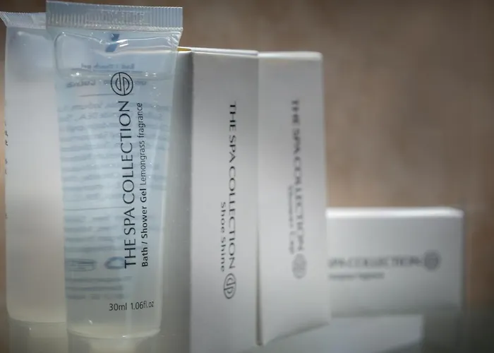 酒店 哈尔斯曼酒店 法尔肯堡