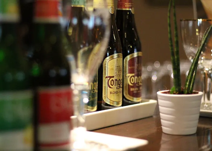 哈尔斯曼酒店 法尔肯堡