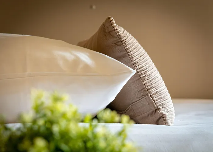 哈尔斯曼酒店 3* 法尔肯堡