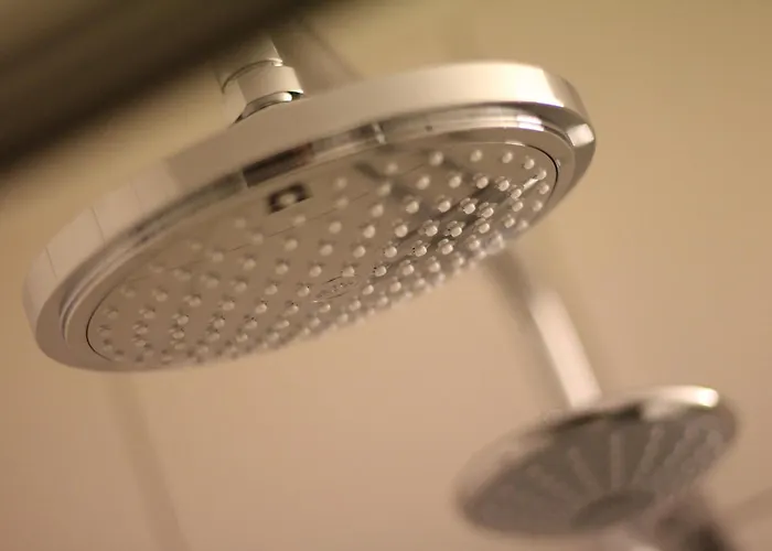 哈尔斯曼酒店 酒店 法尔肯堡